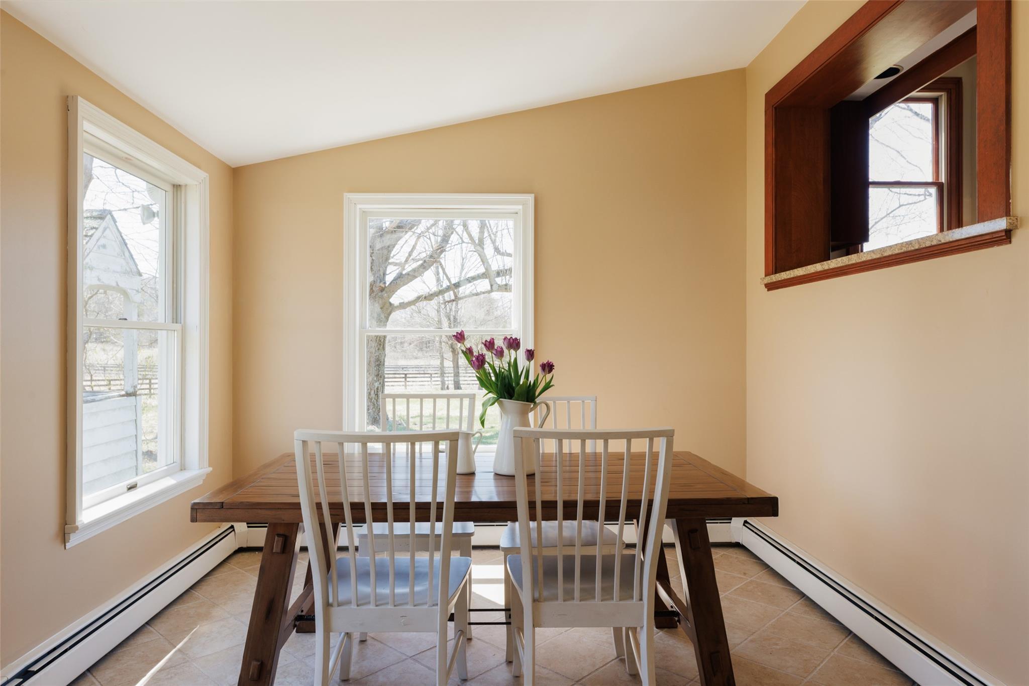 Single Family Route 9g  Dutchess County, NY 12580, MLS-852746-10