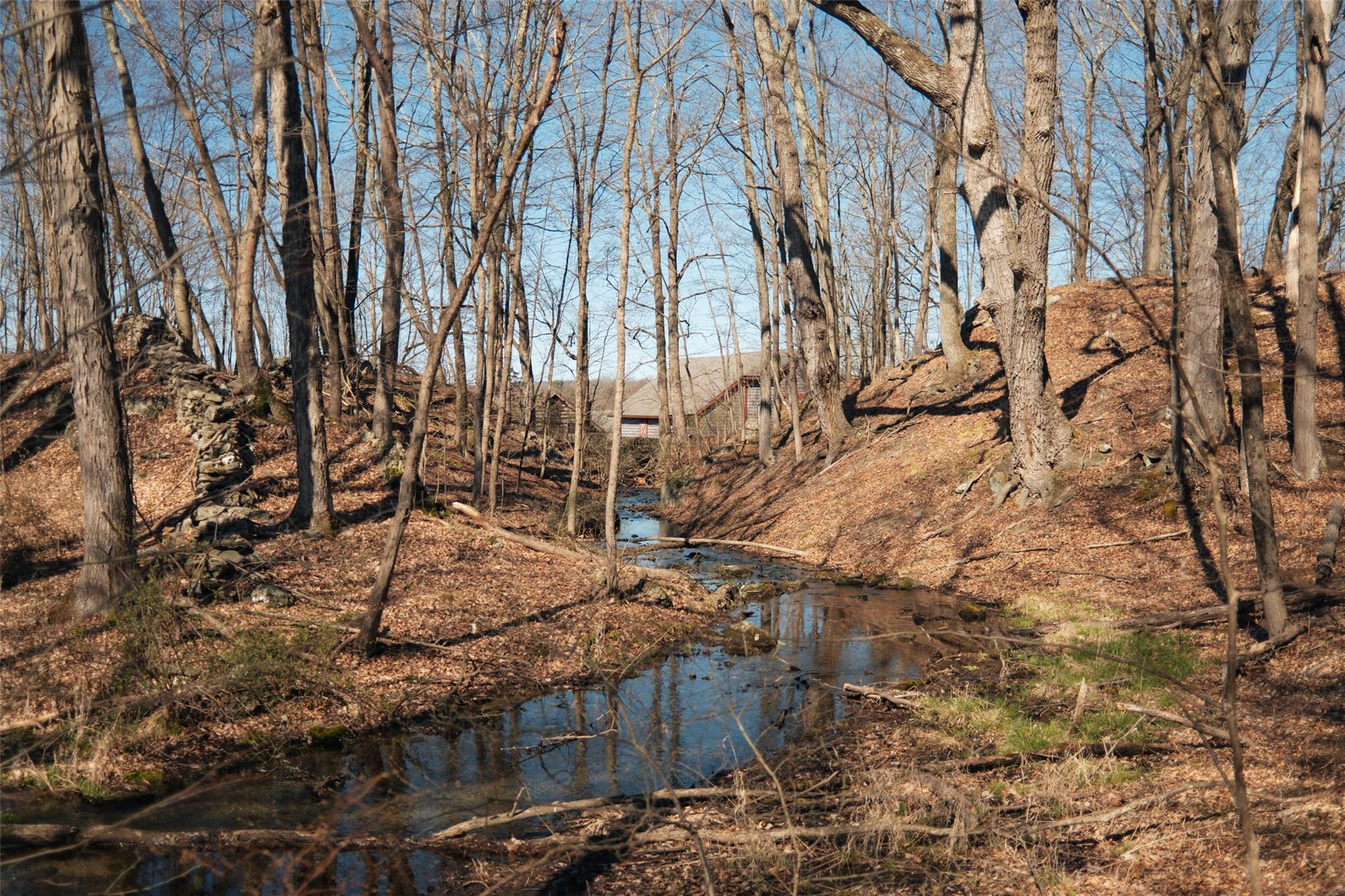 Single Family Route 9g  Dutchess County, NY 12580, MLS-852746-22
