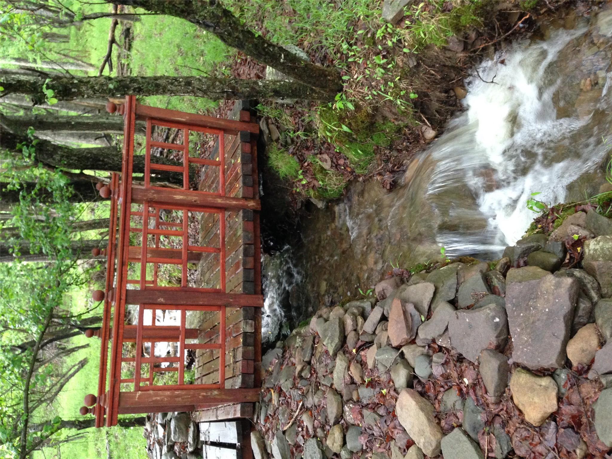 Single Family Lily Pond  Sullivan County, NY 12768, MLS-852768-41