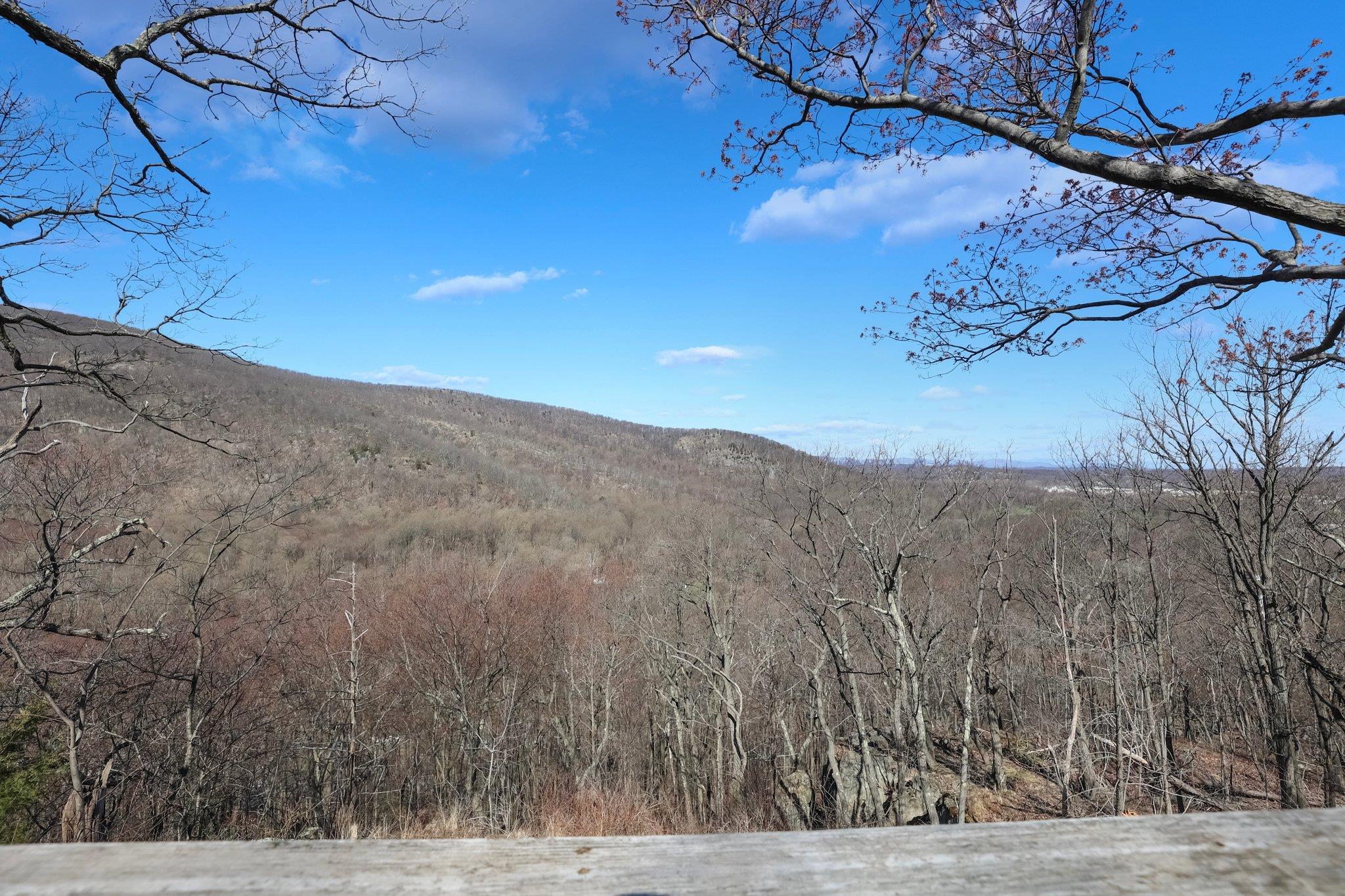 Single Family Rapalje  Dutchess County, NY 12524, MLS-852788-7