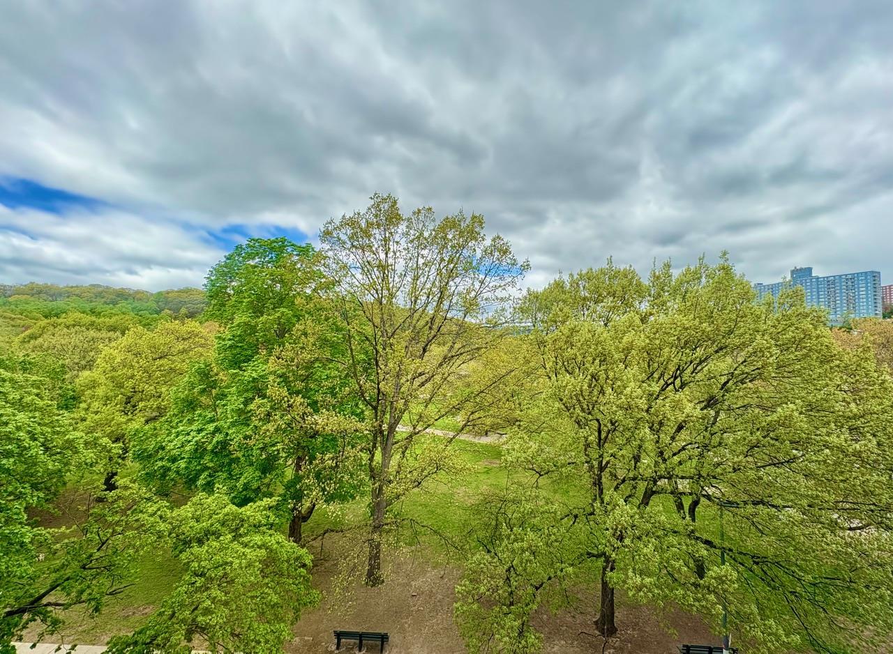 Coop Indian  Manhattan, NY 10034, MLS-853109-8