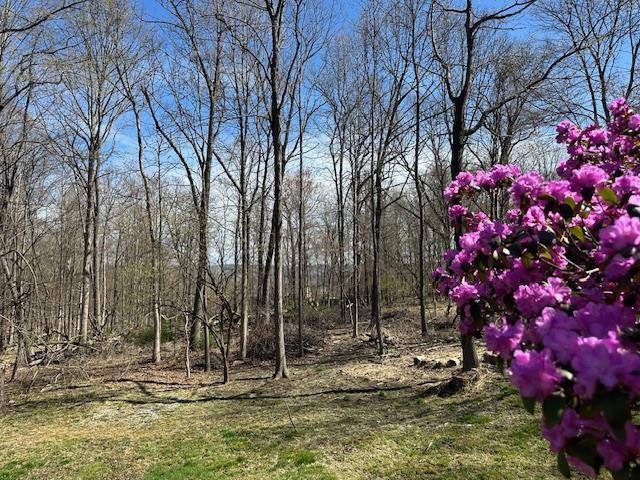 Single Family Mountain Pass  Dutchess County, NY 12533, MLS-853205-33