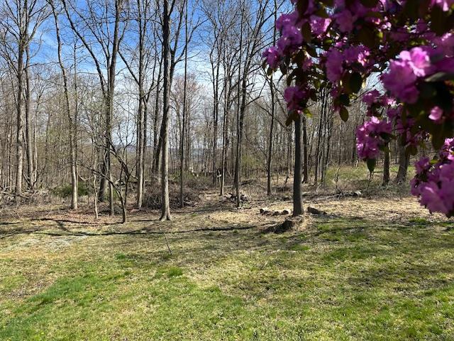 Single Family Mountain Pass  Dutchess County, NY 12533, MLS-853205-39