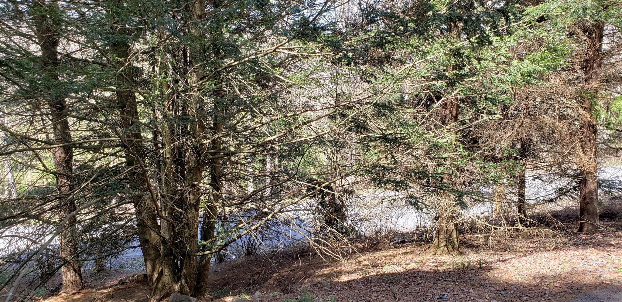 Single Family Elliott  Sullivan County, NY 12738, MLS-853257-8