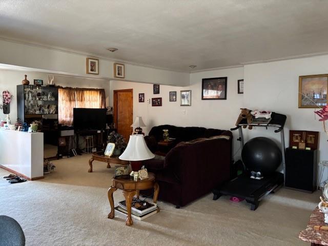 Single Family Copiague  Suffolk County, NY 11726, MLS-853276-4
