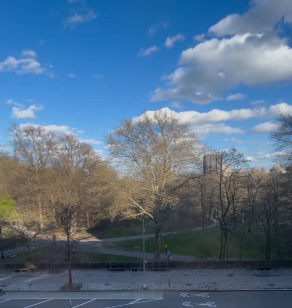 Condo Central Park West  Manhattan, NY 10025, MLS-853431-2