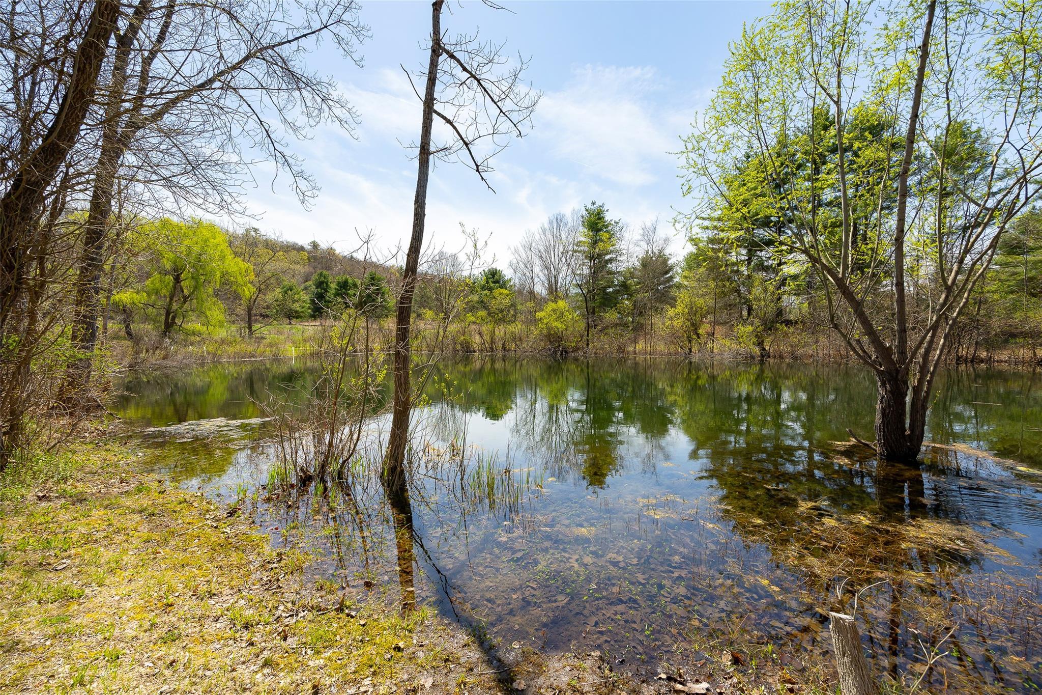 Single Family Traver  Dutchess County, NY 12580, MLS-853624-39
