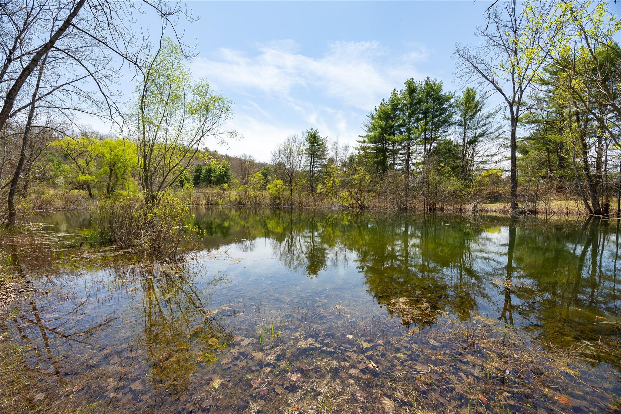 Single Family Traver  Dutchess County, NY 12580, MLS-853624-41