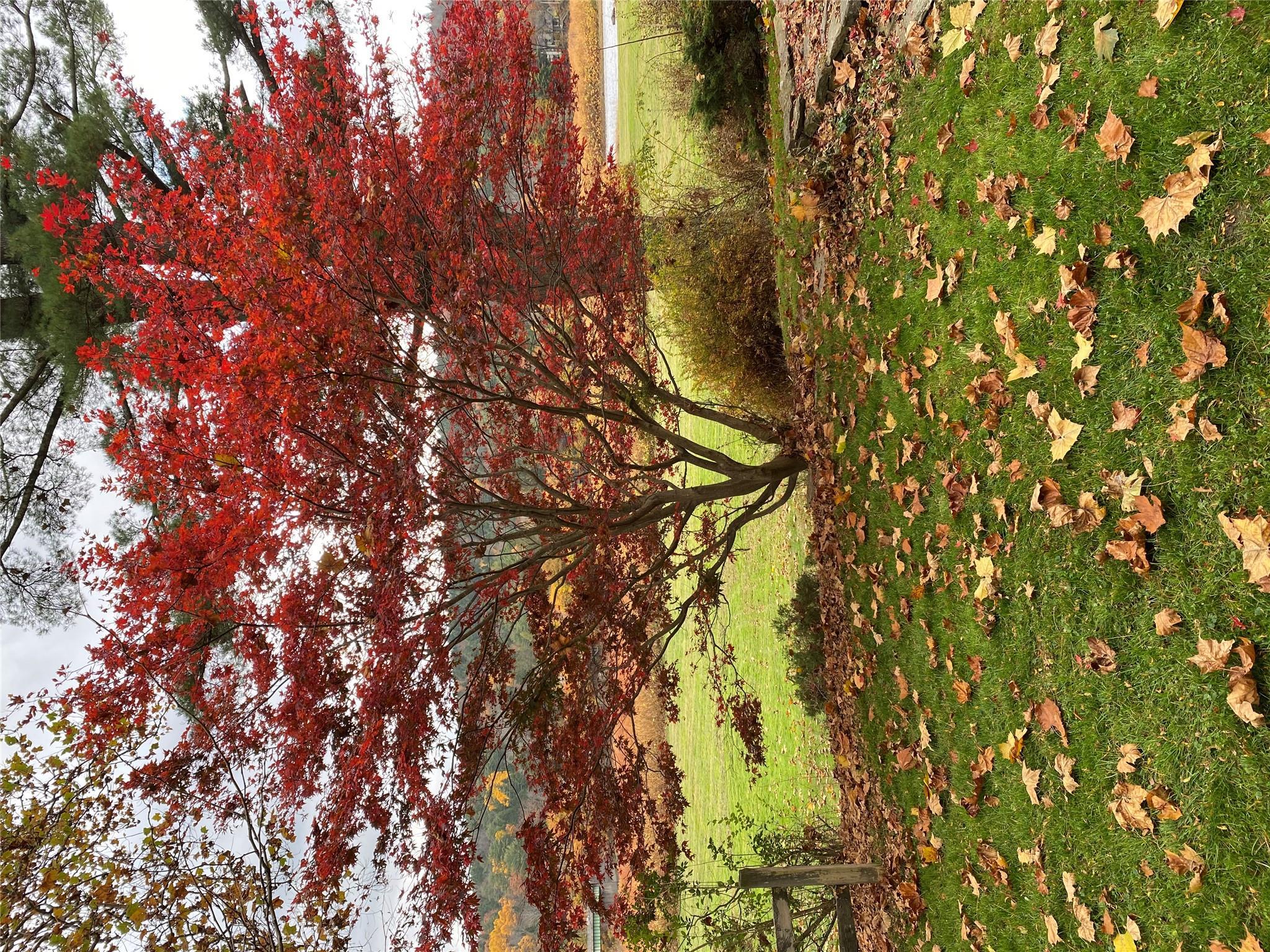 Single Family River  Sullivan County, NY 12723, MLS-853687-24