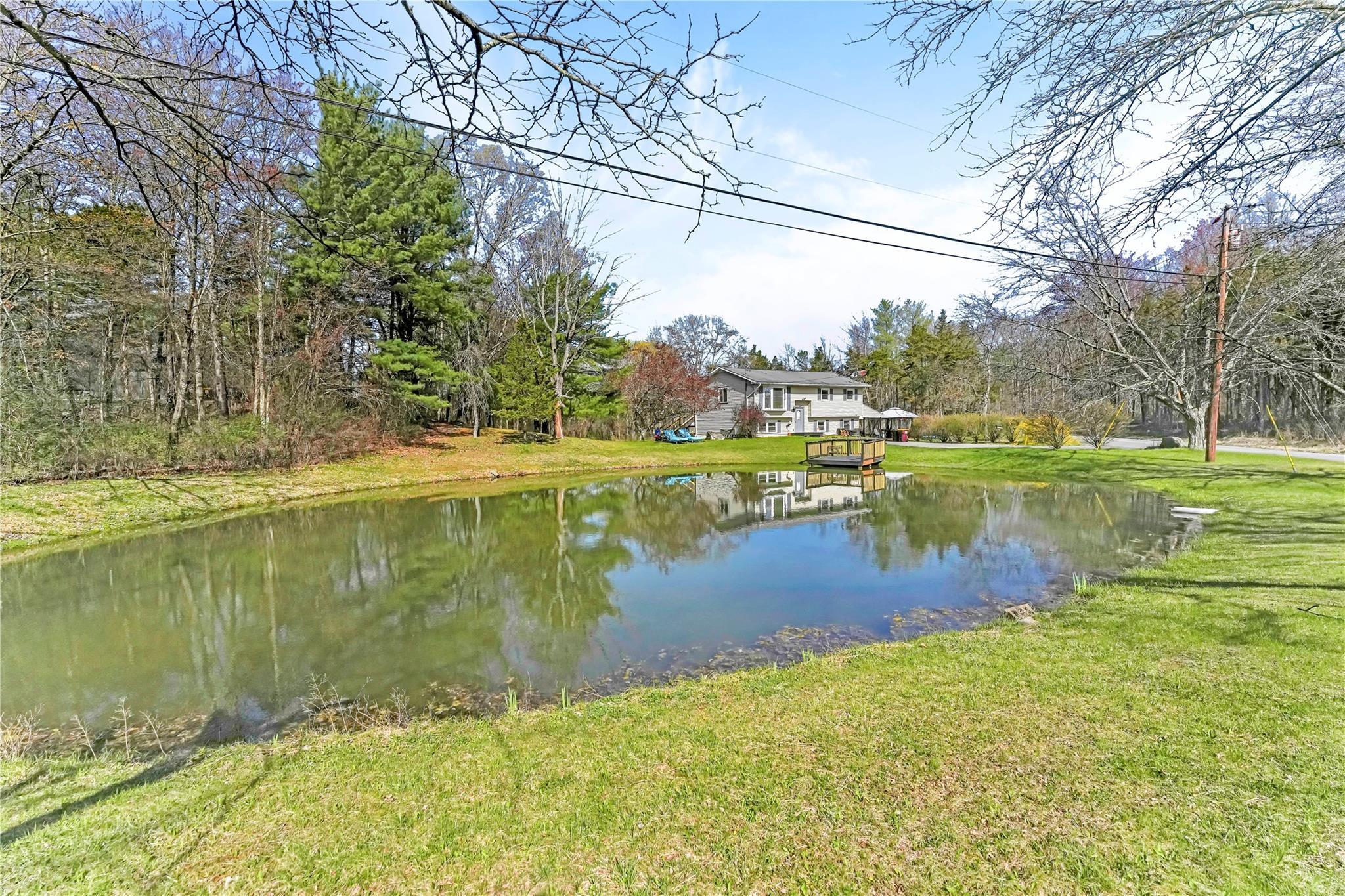 Single Family Thorpe  Greene County, NY 12015, MLS-853691-2