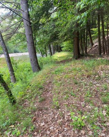 Single Family Forge  Out Of Area, NY 12932, MLS-853696-16