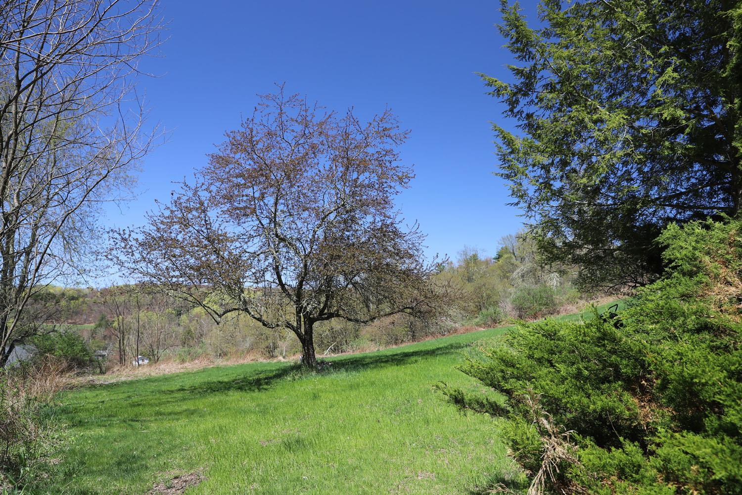 Single Family Fulton Hill  Sullivan County, NY 12723, MLS-853814-30