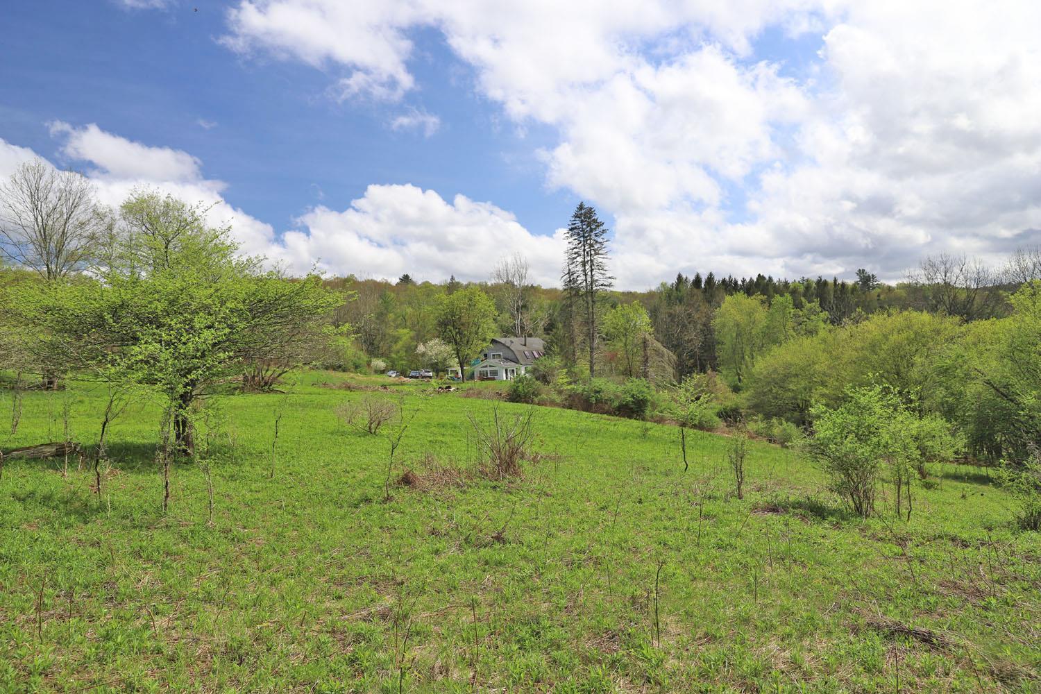 Single Family Fulton Hill  Sullivan County, NY 12723, MLS-853814-31