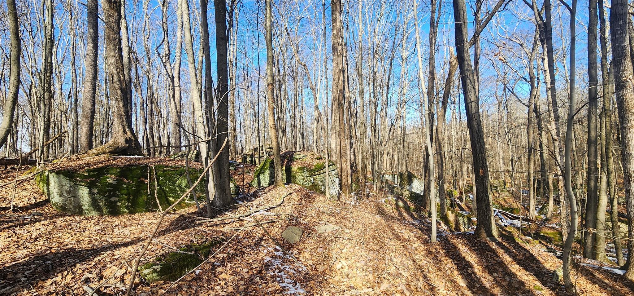 Single Family State Route 55  Sullivan County, NY 12783, MLS-853853-4