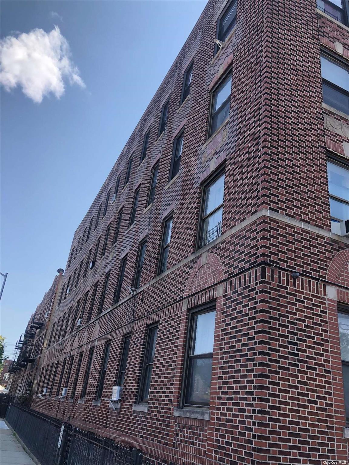 Commercial Sale Linden  Brooklyn, NY 11203, MLS-853861-3