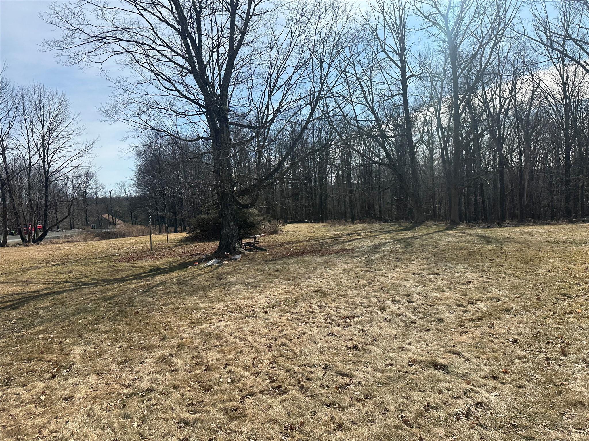 Single Family Route 42  Sullivan County, NY 12701, MLS-853955-7