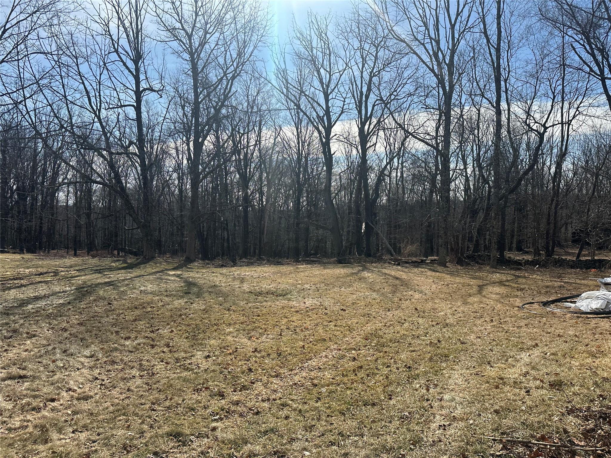 Single Family Route 42  Sullivan County, NY 12701, MLS-853955-8