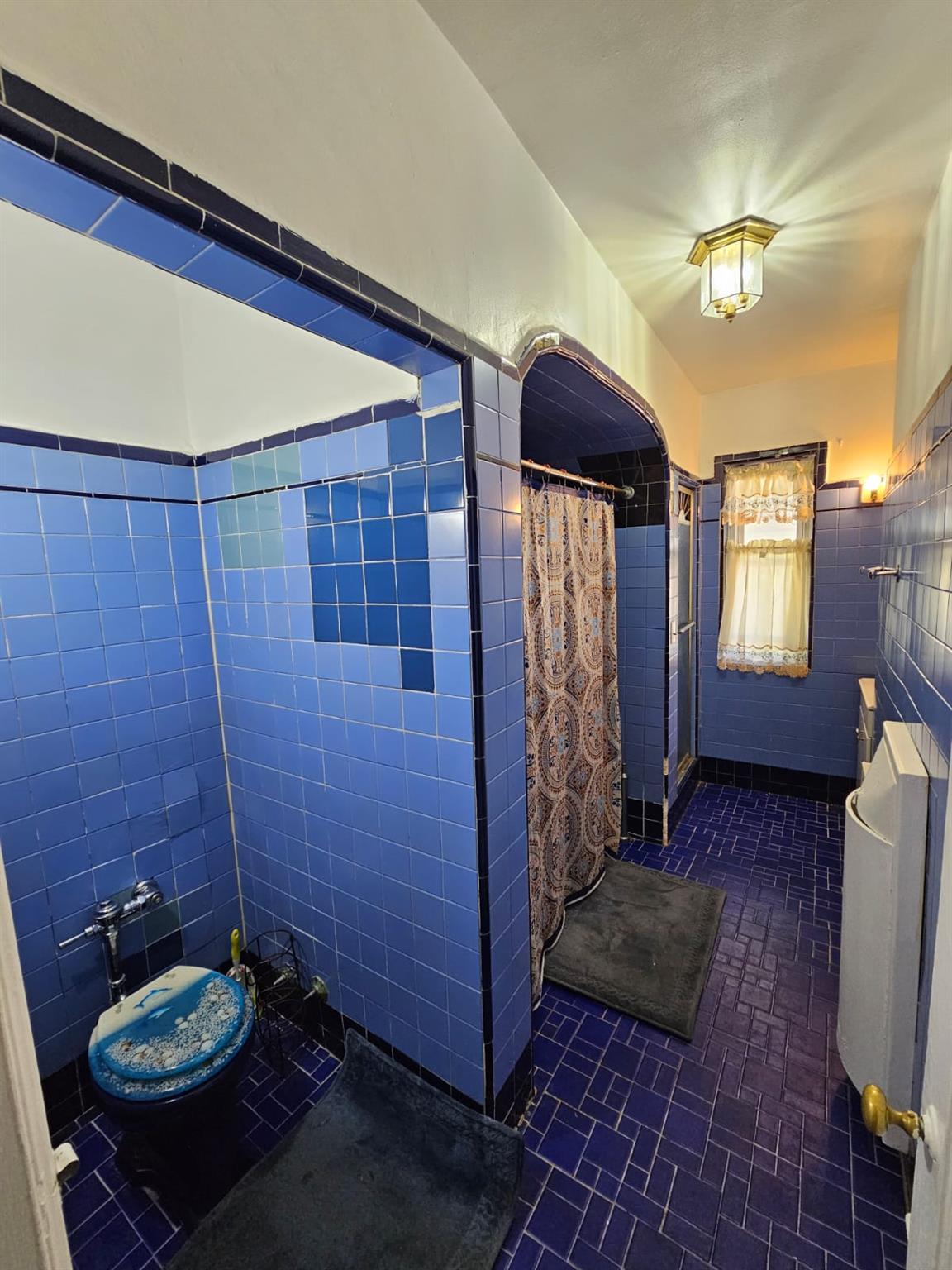 Single Family Troy  Brooklyn, NY 11203, MLS-853984-17