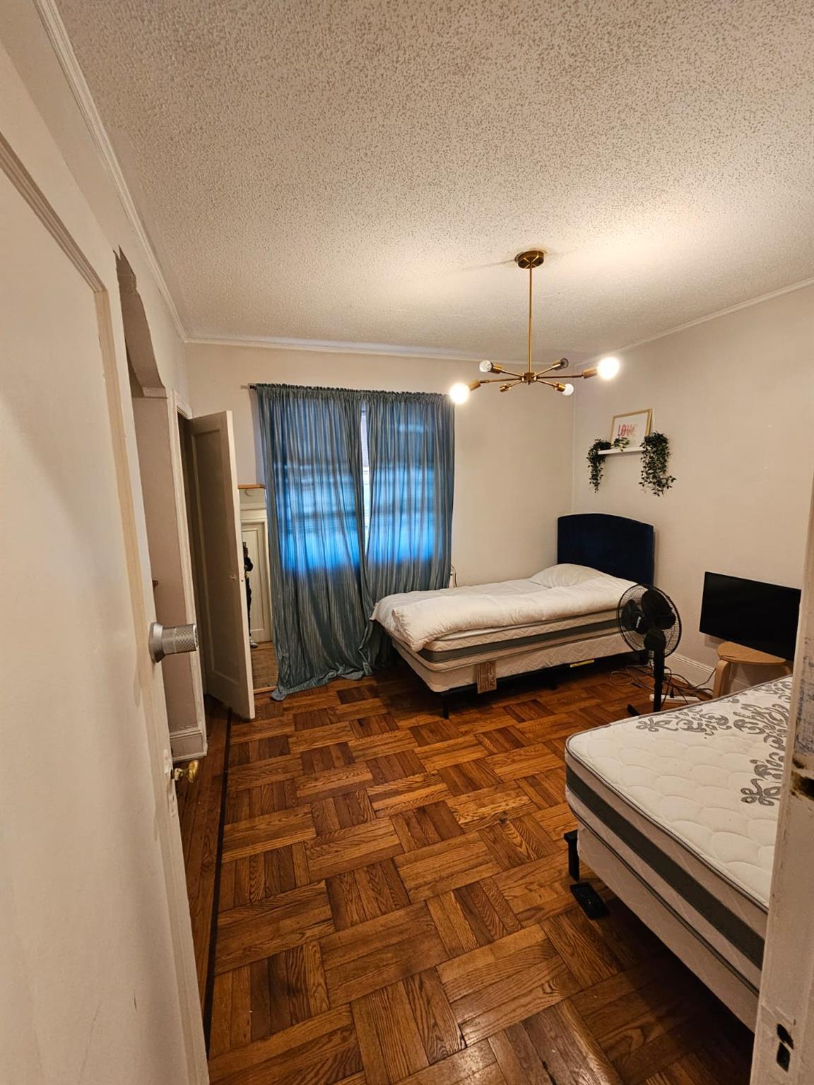 Single Family Troy  Brooklyn, NY 11203, MLS-853984-18