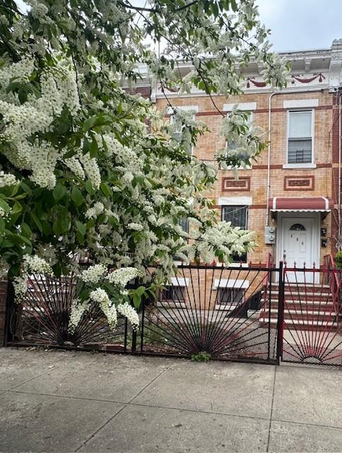 Single Family Street  Brooklyn, NY 11207, MLS-854159-2