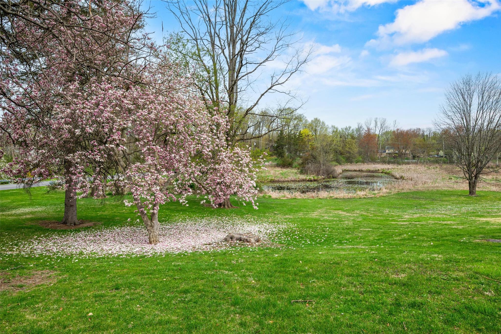 Single Family Berea  Orange County, NY 12586, MLS-854189-33