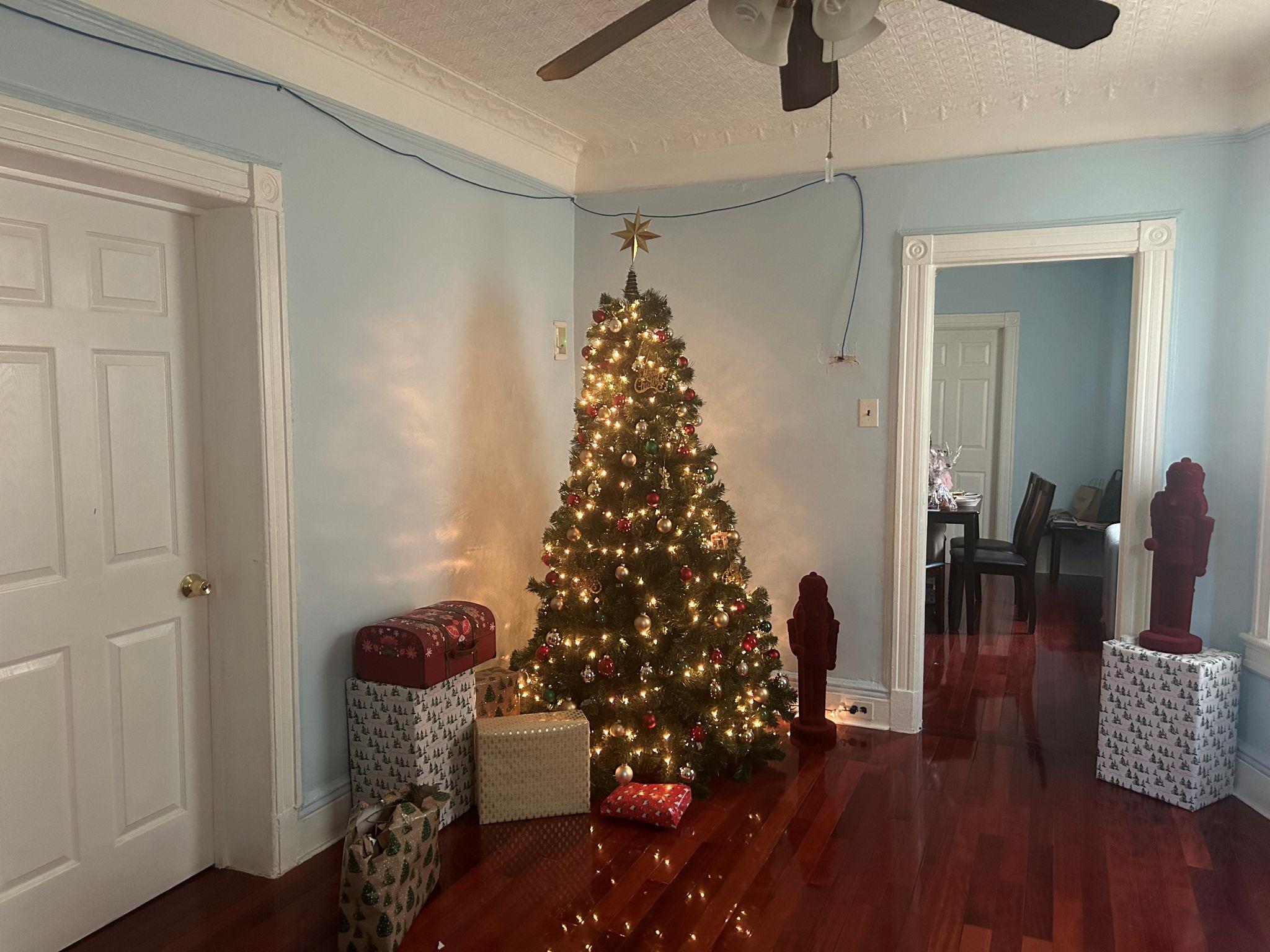 Single Family Thieriot  Bronx, NY 10472, MLS-854578-5