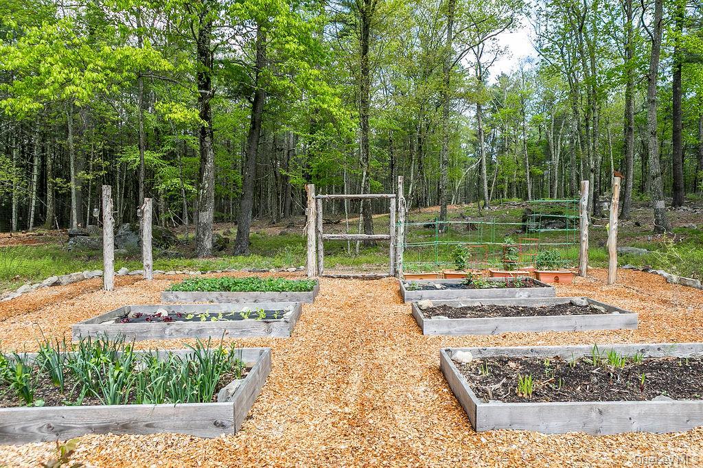 Single Family Bee Tree Ulster County, NY 12404, MLS-855059-33