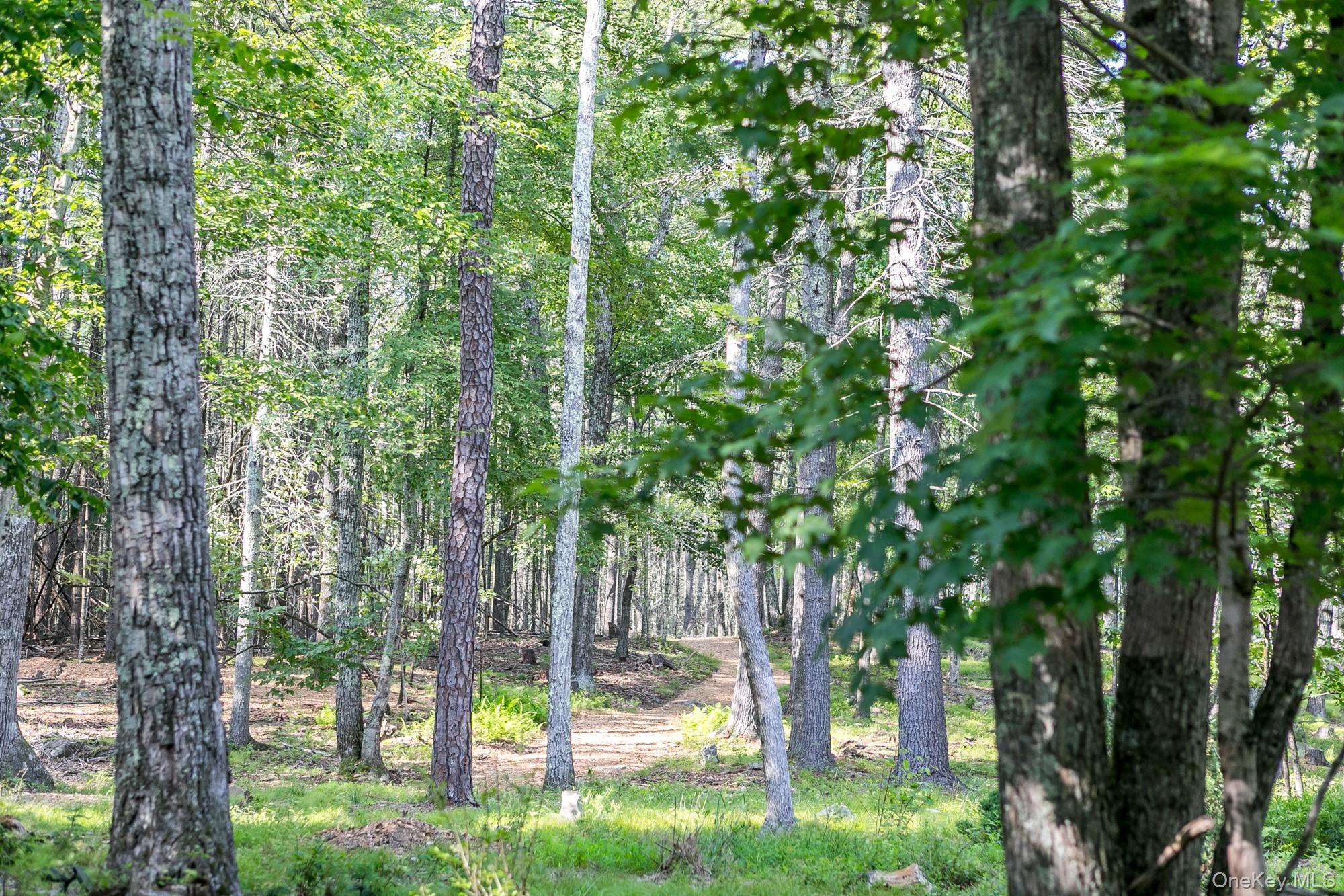 Single Family Bee Tree Ulster County, NY 12404, MLS-855059-35