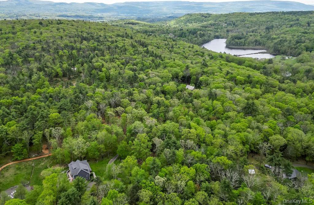 Single Family Bee Tree Ulster County, NY 12404, MLS-855059-37