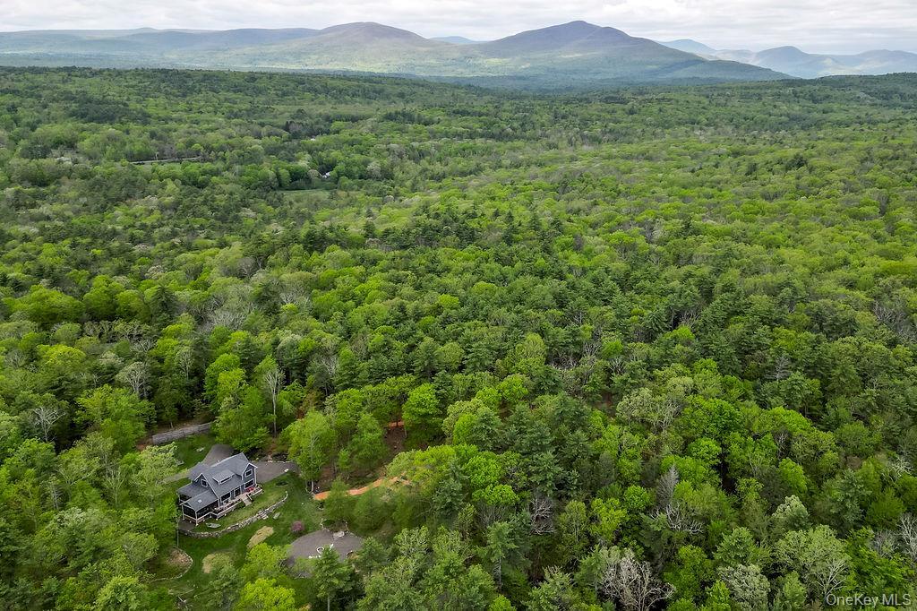 Single Family Bee Tree Ulster County, NY 12404, MLS-855059-38