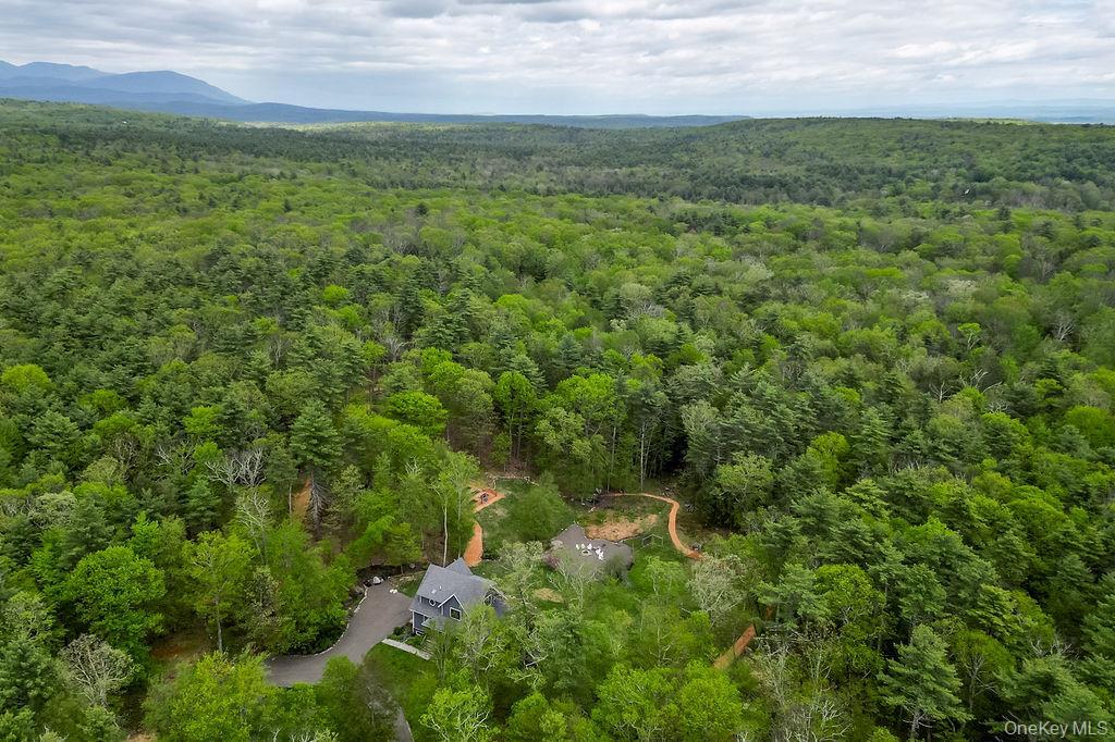 Single Family Bee Tree  Ulster County, NY 12404, MLS-855059-39