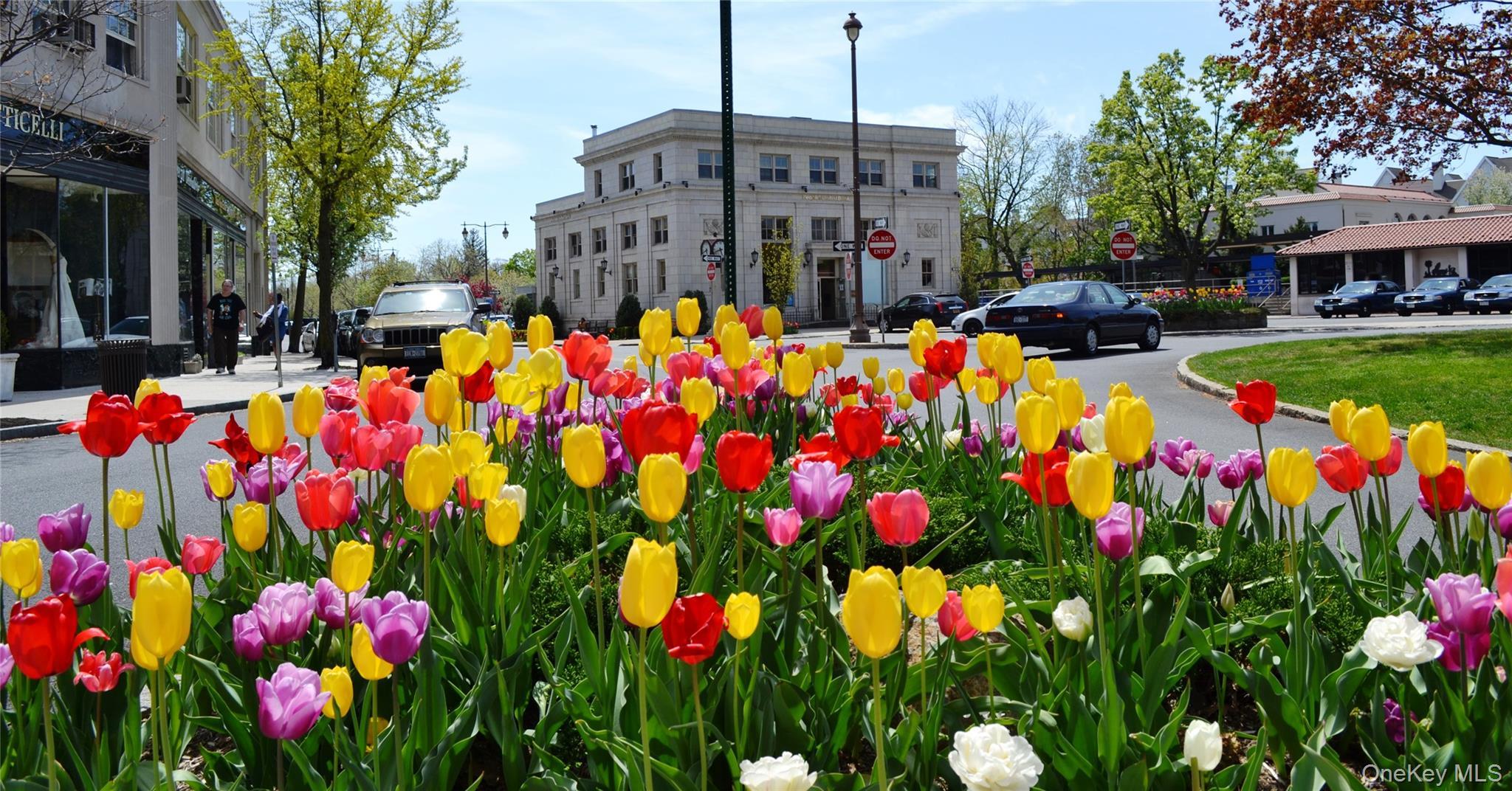 Condo Midland Westchester County, NY 10708, MLS-855063-16