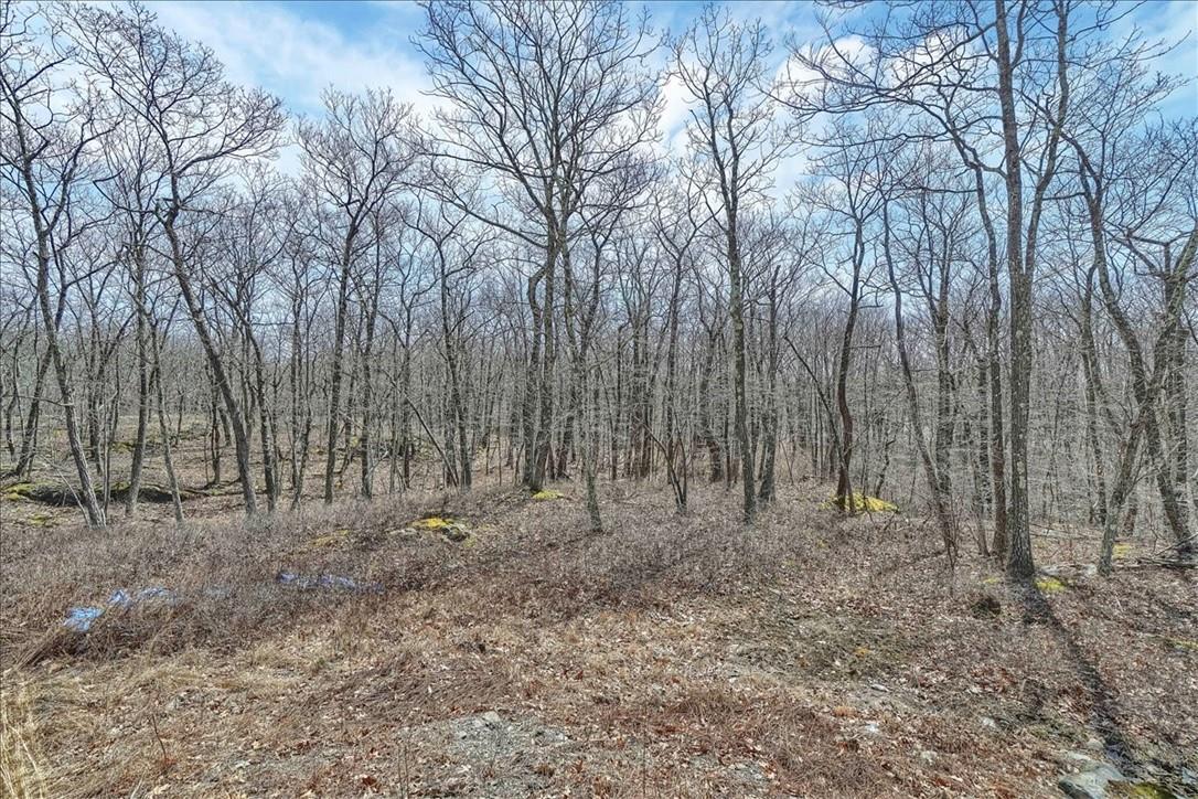 Single Family Deer Hollow  Dutchess County, NY 12570, MLS-855121-25