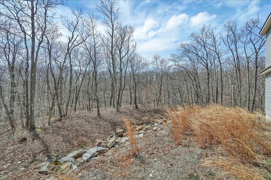 Single Family Deer Hollow  Dutchess County, NY 12570, MLS-855121-26