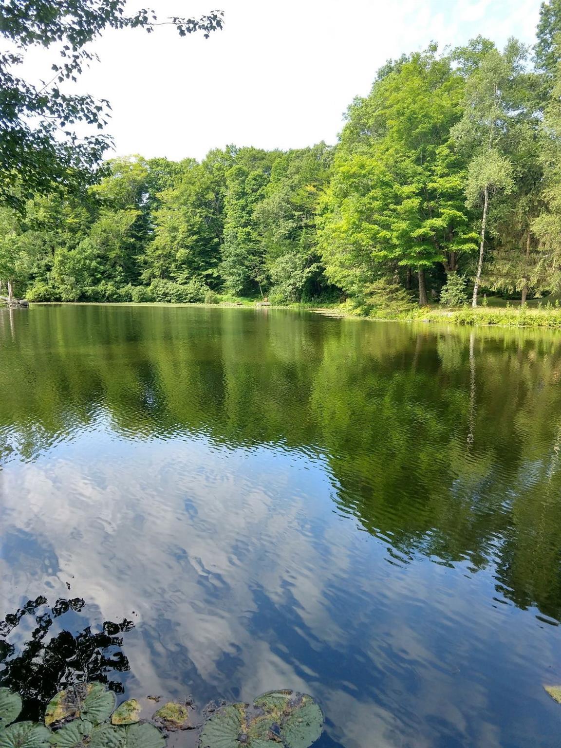 Single Family Susi  Ulster County, NY 12548, MLS-855219-36
