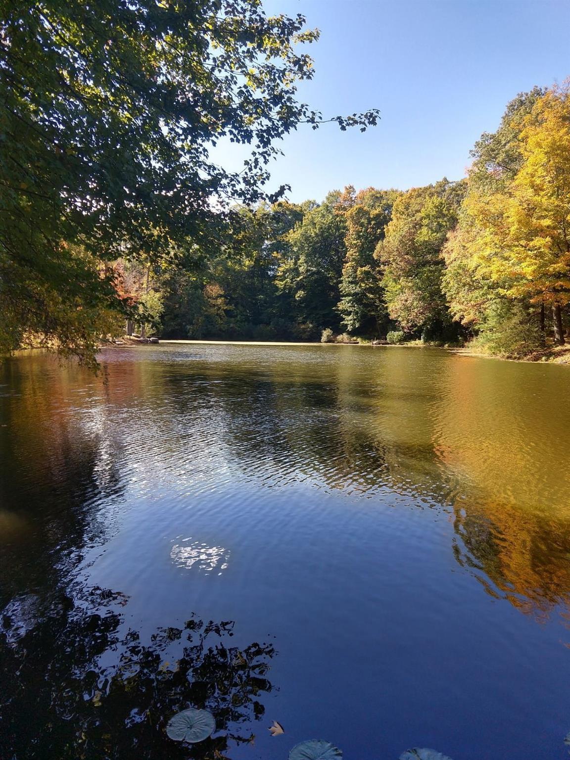 Single Family Susi  Ulster County, NY 12548, MLS-855219-37