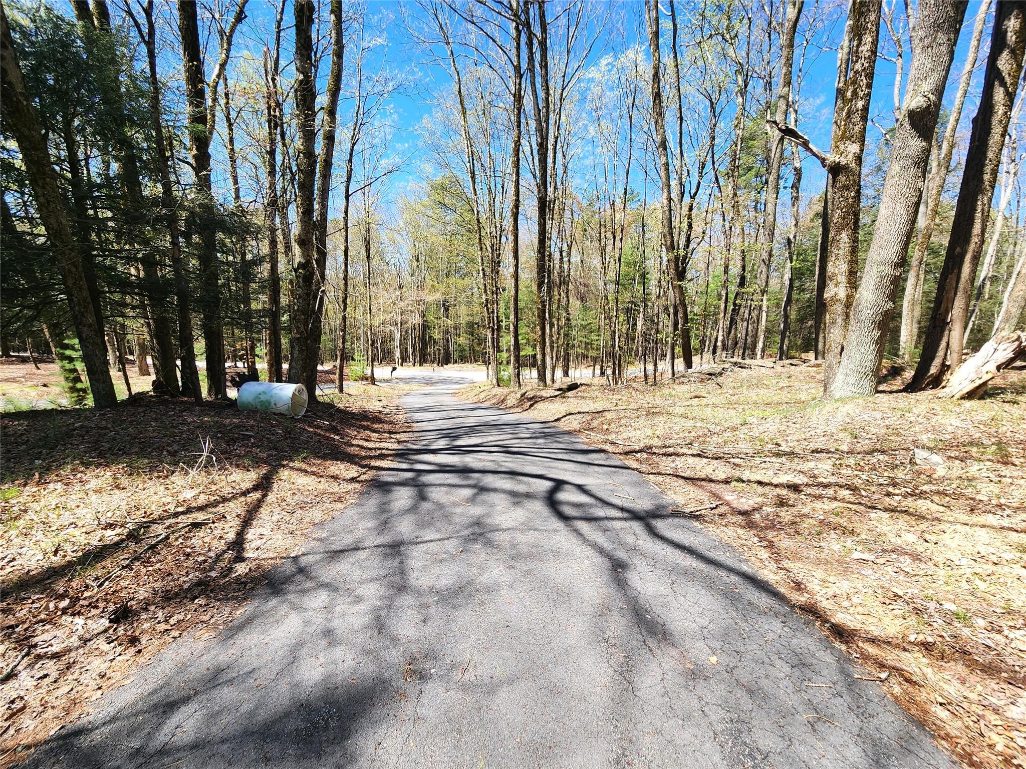 Single Family Old Tacy  Sullivan County, NY 12783, MLS-855539-37