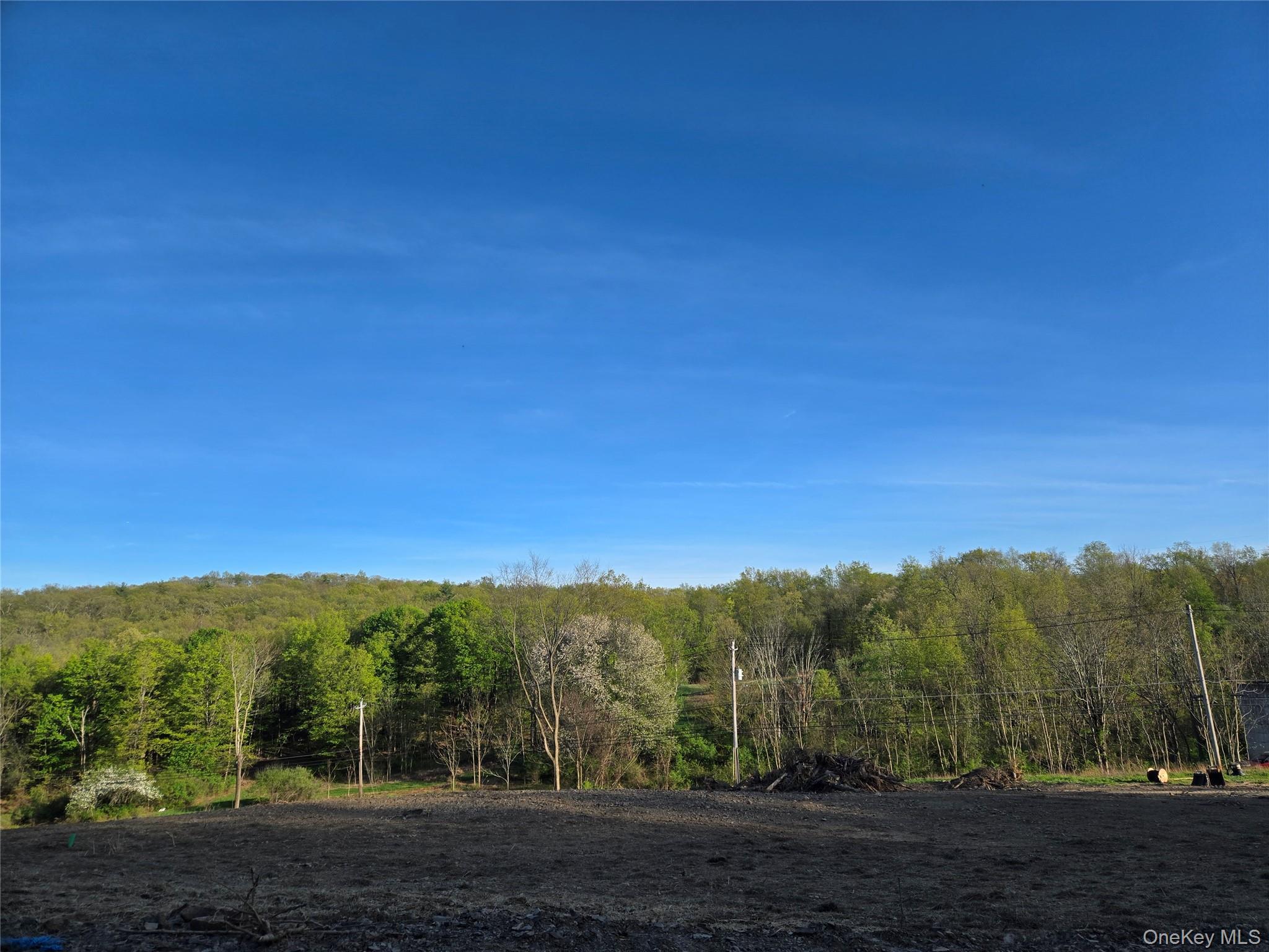 Single Family Mount Hope  Orange County, NY 10940, MLS-855749-4