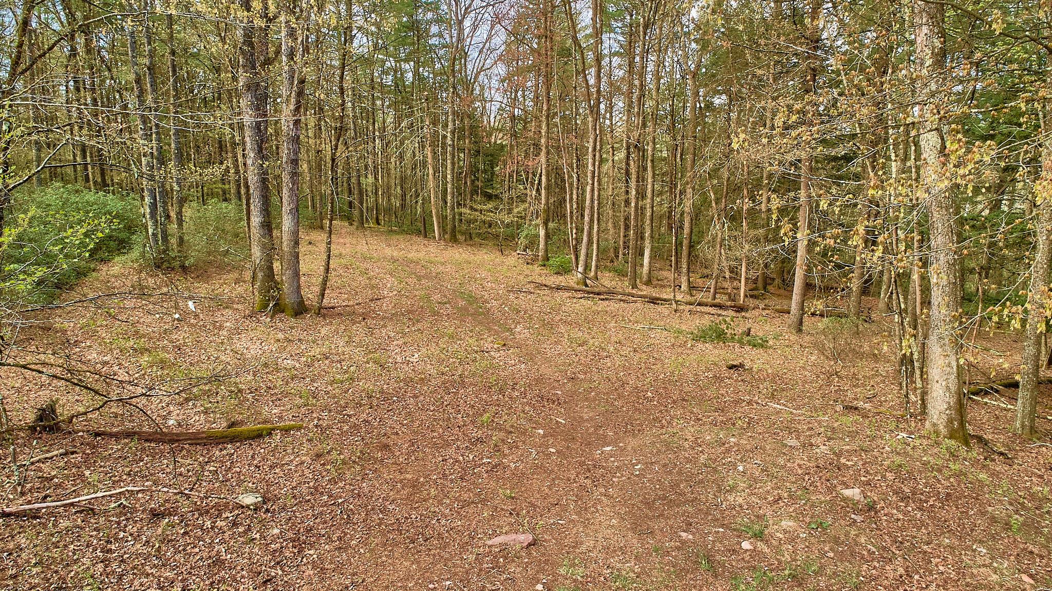 Single Family Perry Pond  Sullivan County, NY 12764, MLS-855764-26