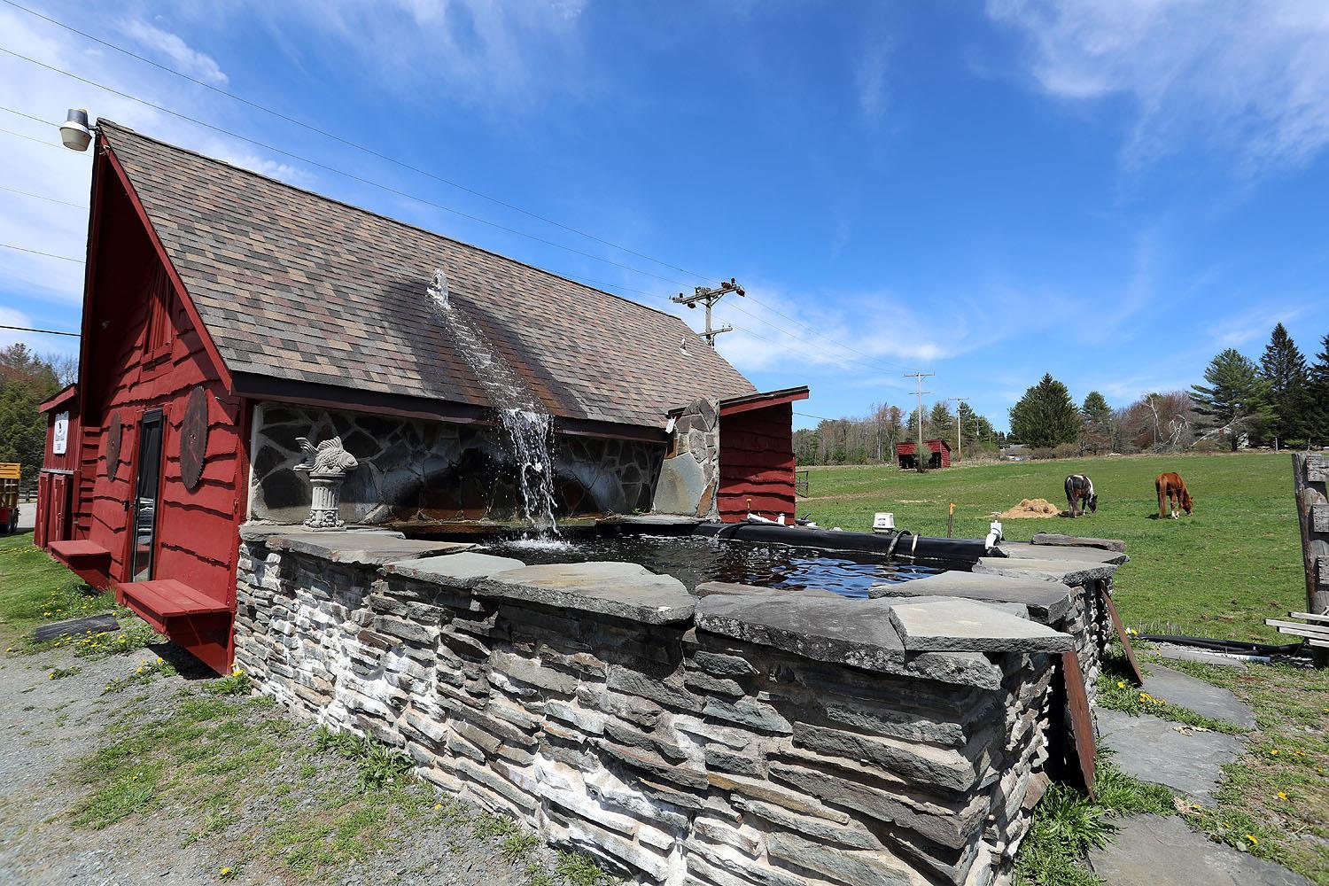Single Family State Route 55  Sullivan County, NY 12720, MLS-855894-29