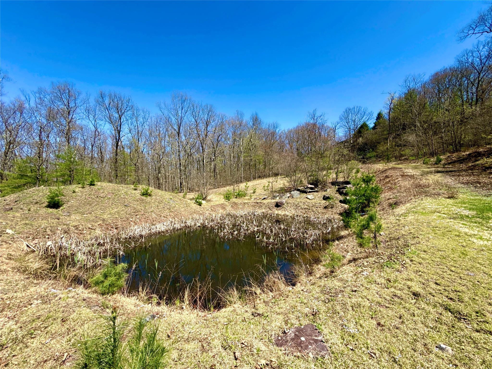 Single Family State Route 97  Sullivan County, NY 12764, MLS-855949-32