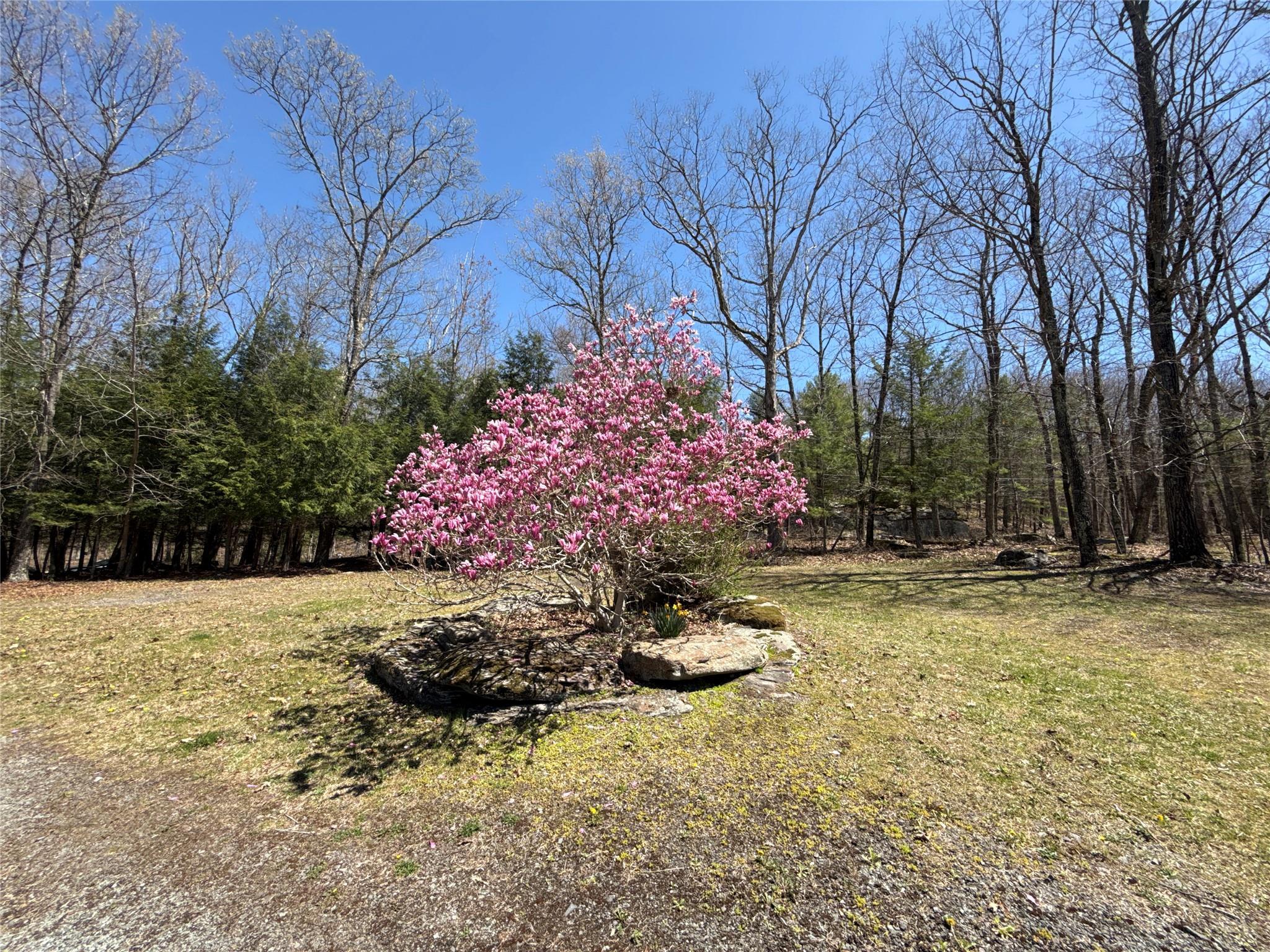Single Family State Route 97  Sullivan County, NY 12764, MLS-855949-38