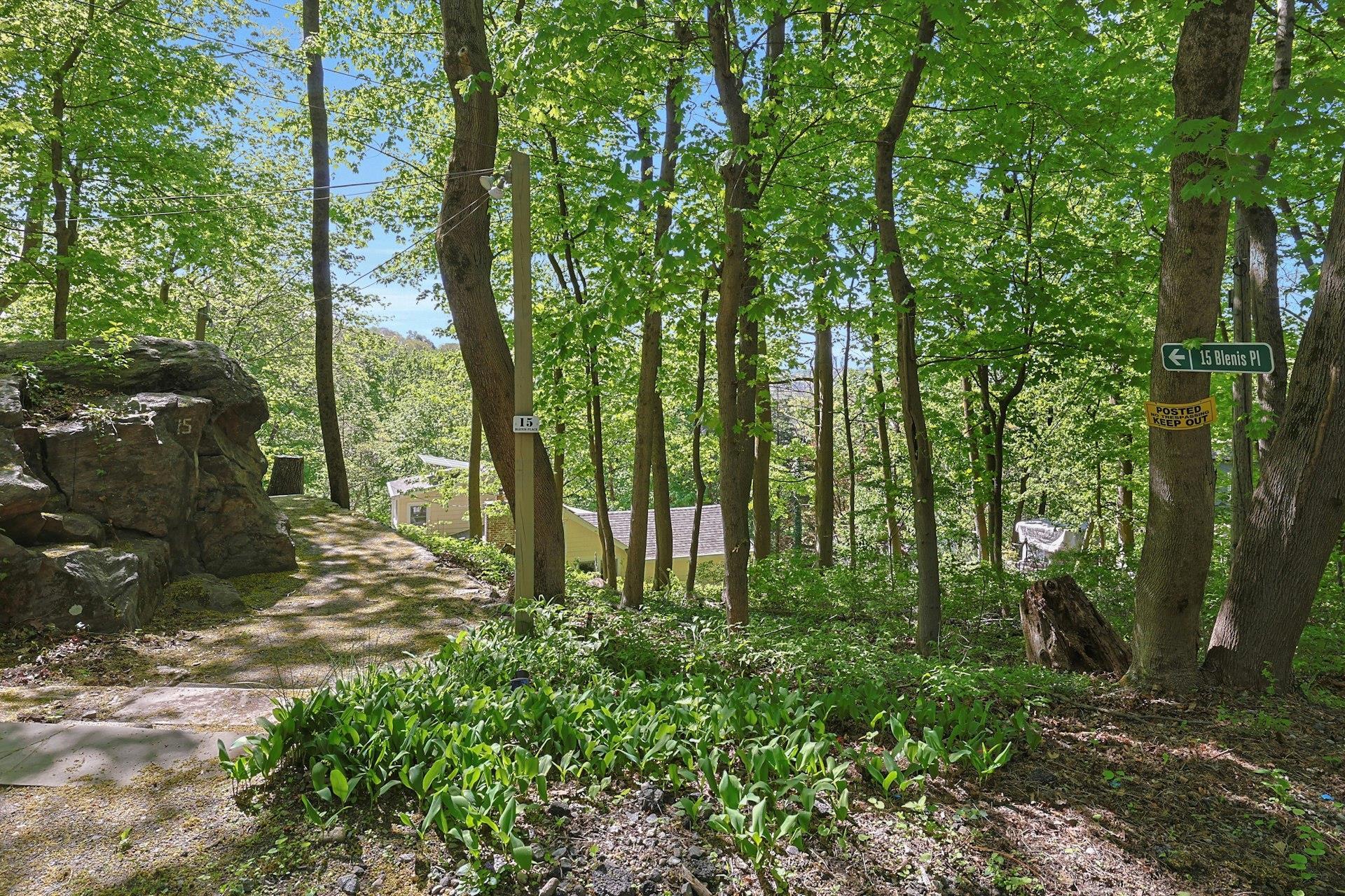 Single Family Blenis  Westchester County, NY 10595, MLS-855952-25