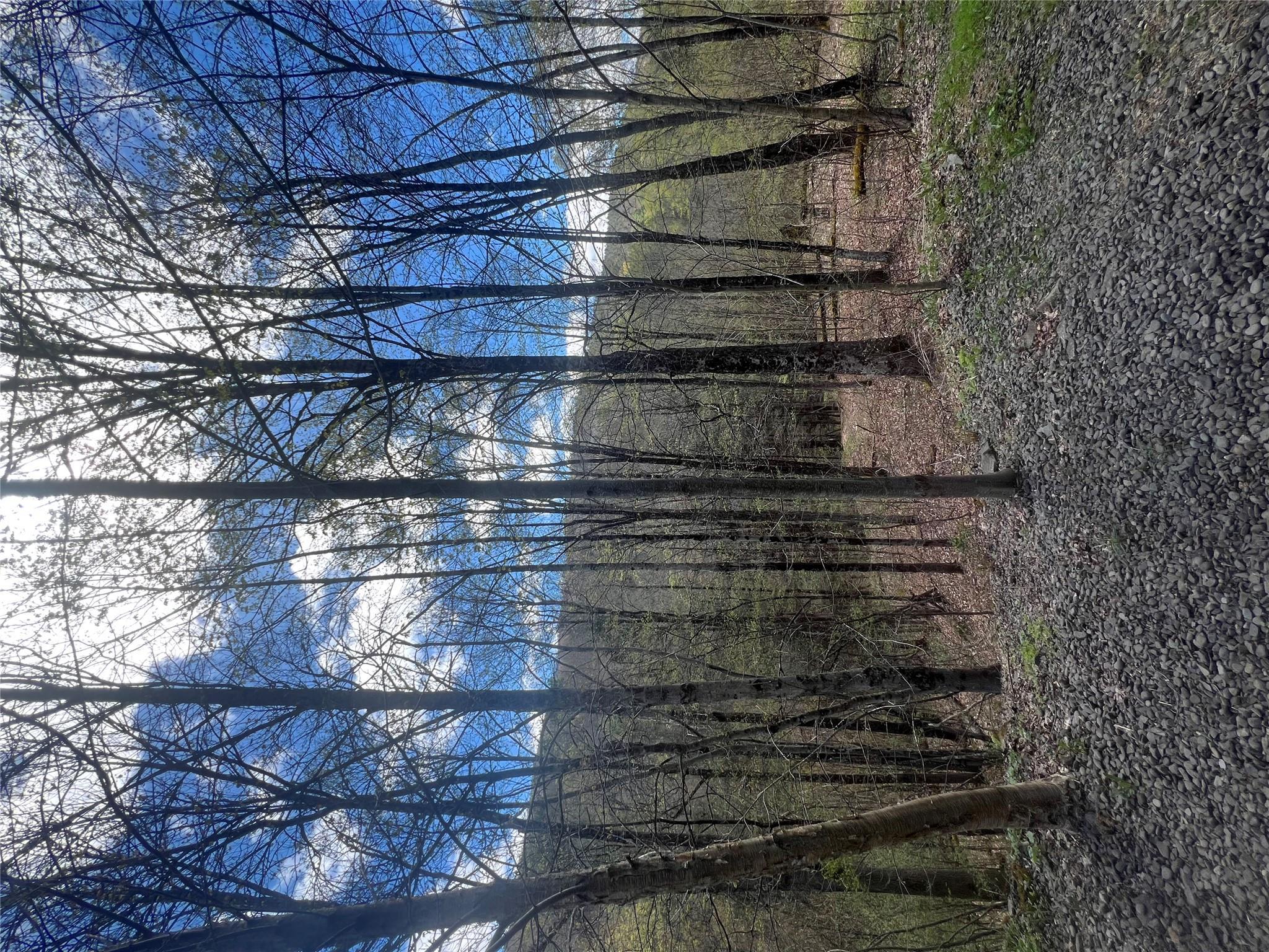 Single Family Huntley Hollow  Delaware County, NY 13752, MLS-855967-30