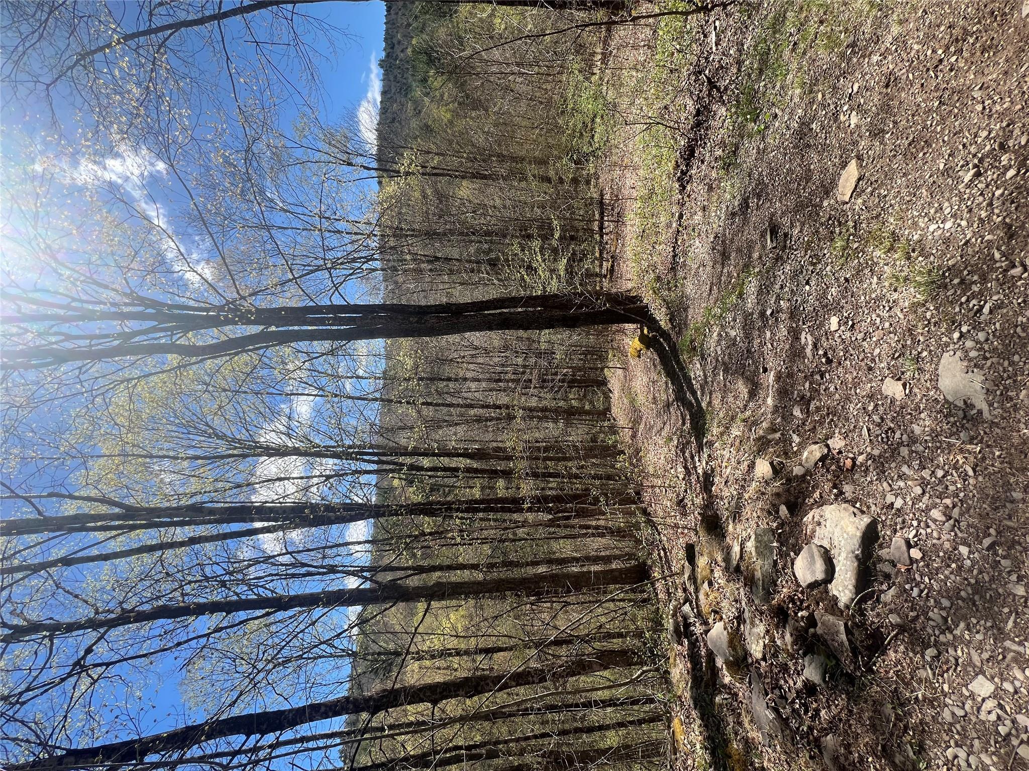 Single Family Huntley Hollow  Delaware County, NY 13752, MLS-855967-32