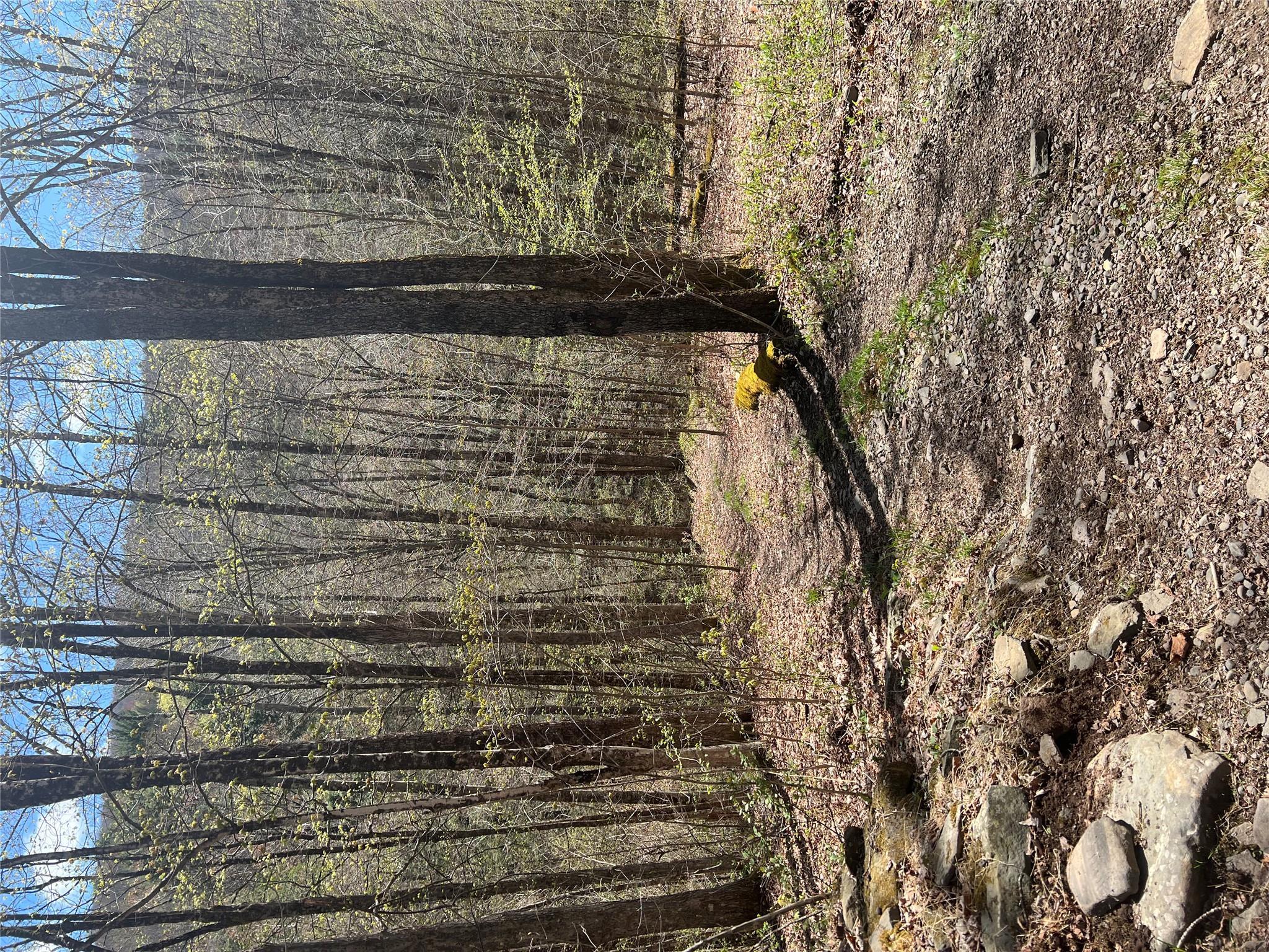 Single Family Huntley Hollow  Delaware County, NY 13752, MLS-855967-33