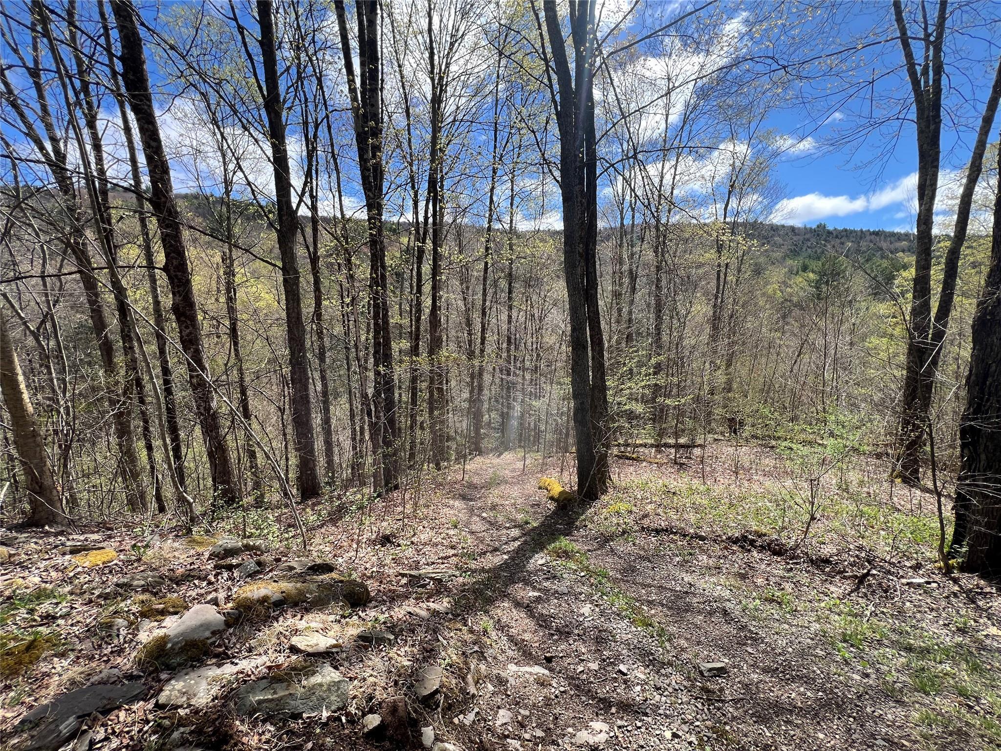 Single Family Huntley Hollow  Delaware County, NY 13752, MLS-855967-4