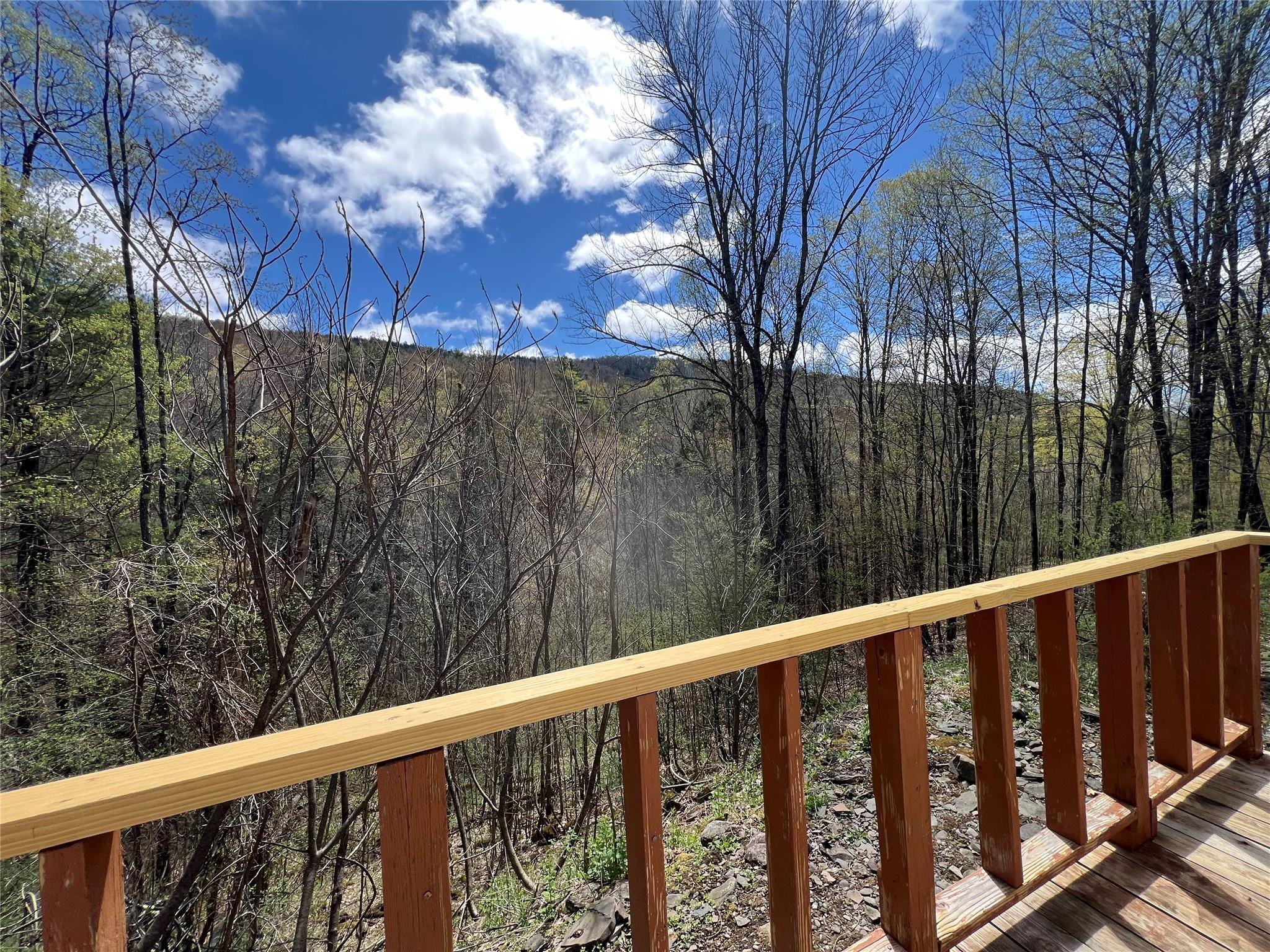 Single Family Huntley Hollow  Delaware County, NY 13752, MLS-855967-6