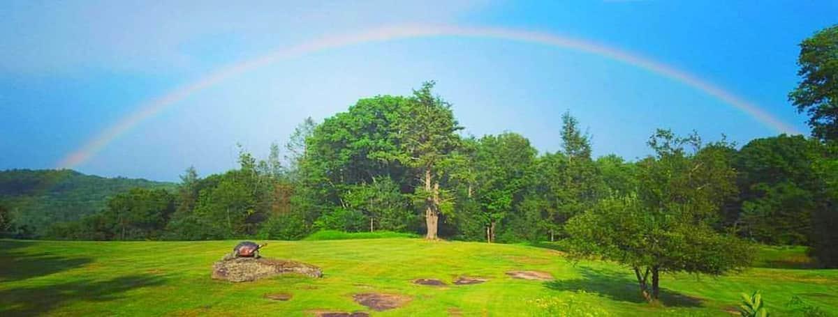 Single Family Grey  Sullivan County, NY 12779, MLS-856030-9