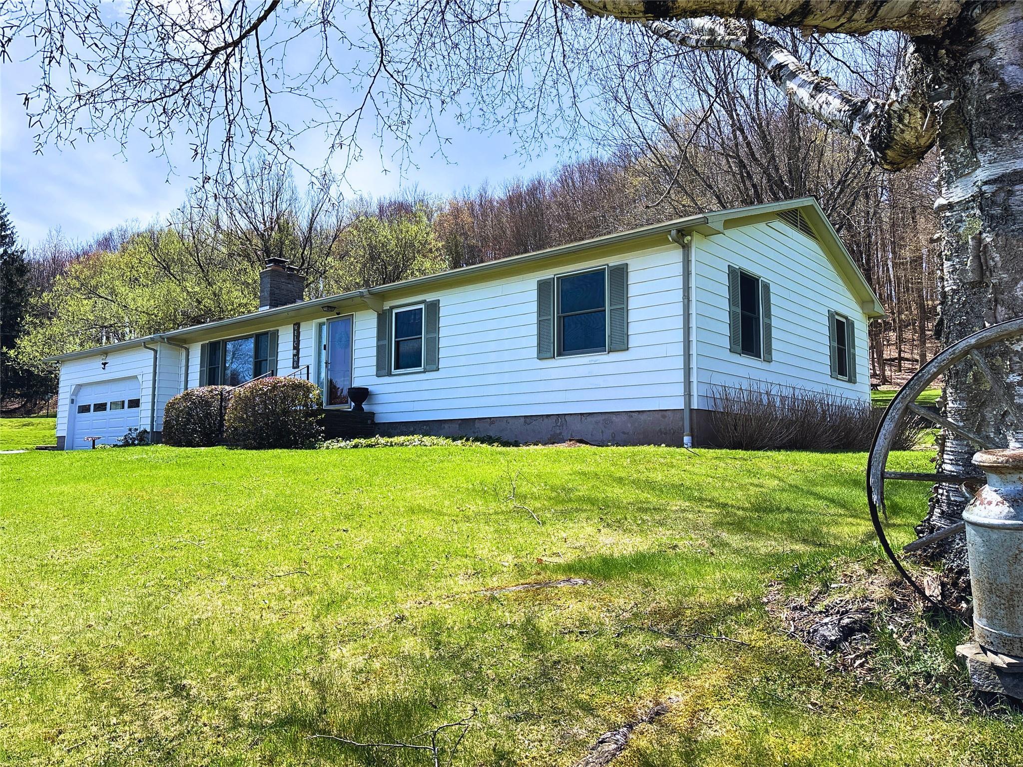 Single Family County Highway 16  Delaware County, NY 13753, MLS-856086-3